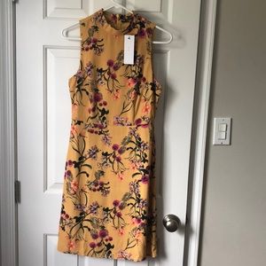 Vici dress with tag still attached!